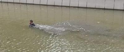 Прикрепленное изображение: post-79-067207300 1609059608_thumb.jpg